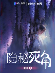 隐秘死角无错别字