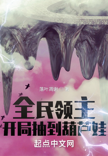 全民领主:无限
