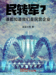 民转军?谁都知道我们是民营企业小说