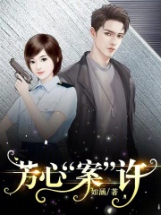 芳心案许小说