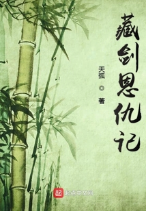 藏剑恩仇记 天弧