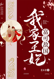我家王妃富可敌国免费阅读全文