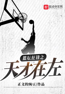 篮坛狂锋之天才在左小说